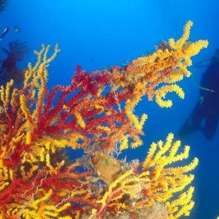 Germania Hotel Praia a Mare